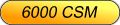 6000 CSM